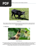 45+ Gambar Hewan Dan Penjelasan Terbaru