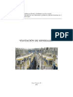 132342529-Yianatos-Flotacion-de-Minerales-UTFSM.pdf