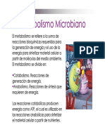 Metabolismo bacteriano.pdf