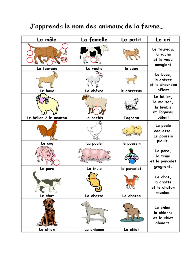 Noms des animaux de la ferme | PDF | Mouton | Cochon domestique