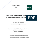 Tesis Doctorado.pdf