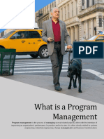 What Is A Program Management