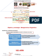 Meta Genómica