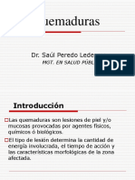 Quemaduras: Clasificación, Tratamiento y Prevención