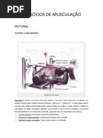 Exerci Cio Sm Us Culaca o