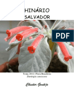 Chester Gontijo - Salvador & Nova Licao - Tablet (1).pdf
