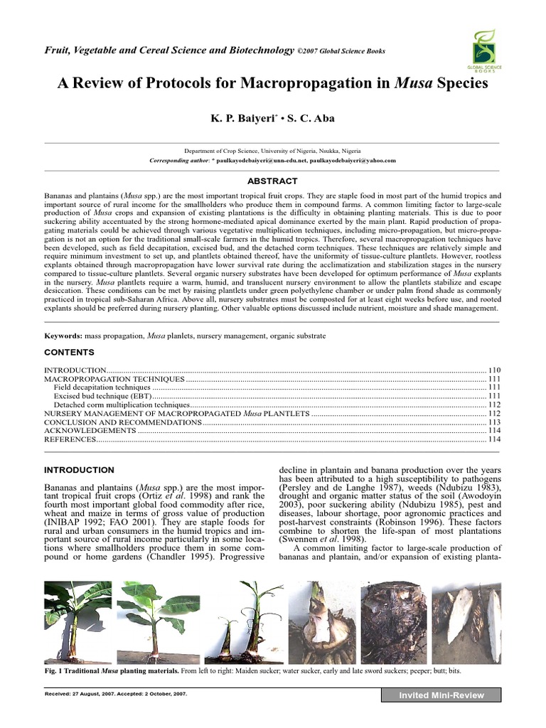 Banana Macro Propagation Protocol PDF Plant Nursery Banana