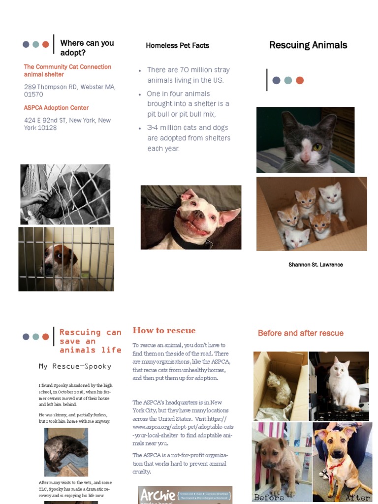 Community Cat Rescue and Adoption Guide | PDF