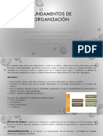 Fundamentos de Organización