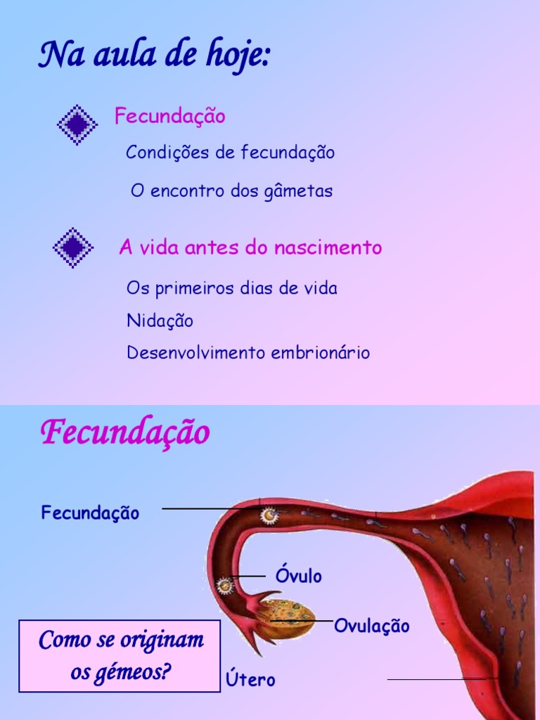 Fecundação e Desenvolvimento Embrionário | PDF | Fertilização | Útero