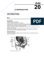 16233715102012Elementos_de_Anatomia_Humana_Aula_20.pdf