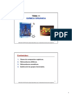 TEMA 11 Quimica Organica