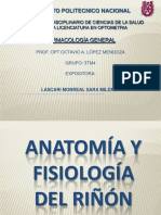 Anatomia y Fisiologia Renal