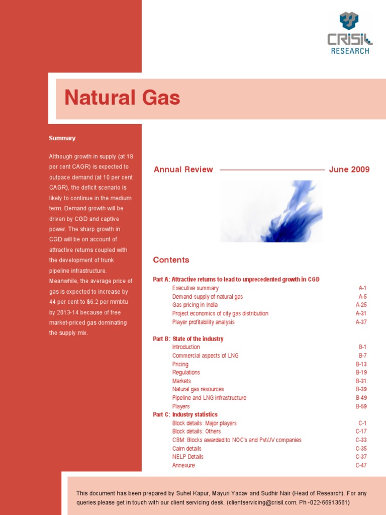 Research Industry Information Report Natural Gas Contents | PDF