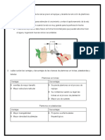 Explique La Finalidad de La Poda de Raíces Previo Al Repique y Durante La Remoción de Plantones