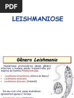 Leishmaniose