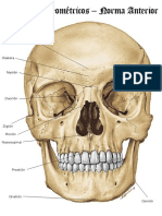 _puntos_craneomtricos.pdf