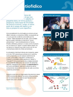 TarjetonSueroActualizado.pdf