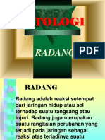 PATOLOGI KU.ppt