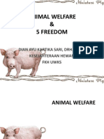 Animal Welfare N 5 Freedom
