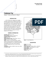 Ficus Lyrata Fiddleleaf Fig: Fact Sheet ST-254