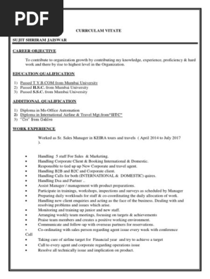 Professional CV