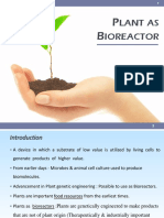 Plant as Bioreactor: Production of Therapeutic Proteins