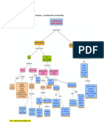 Mapa de resumen del sistema de relación y  coordinación en el hombre.docx