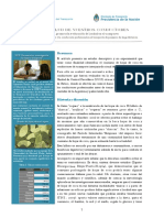 El Hábito Del Coqueo y La Conducción Profesional PDF