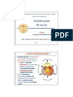 CURS 1 - Adaptarea Organismului La STRES - Prezentare PDF