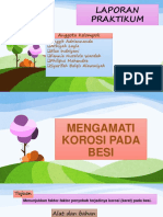 Percobaan Korosi Logam Pada Paku