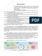 METABOLISM - Aspecte Generale