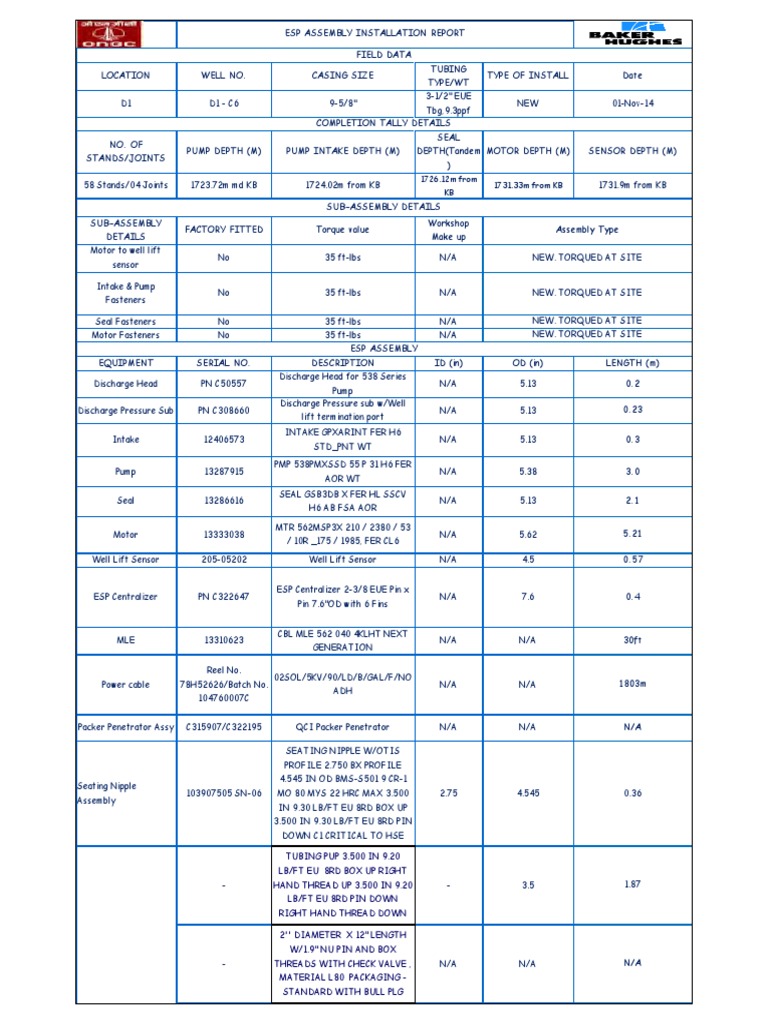 ESP Assembly Installation Report | PDF | Technology & Engineering