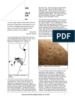 Wadi Hitan Early Whale Evolution: John Parkins