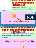 Metabolismo Vegetal