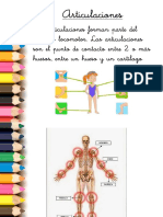 articulaciones.pdf