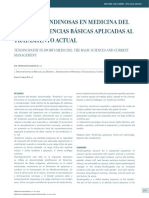 Lesiones Tendinosas en Medicina Del Deporte PDF