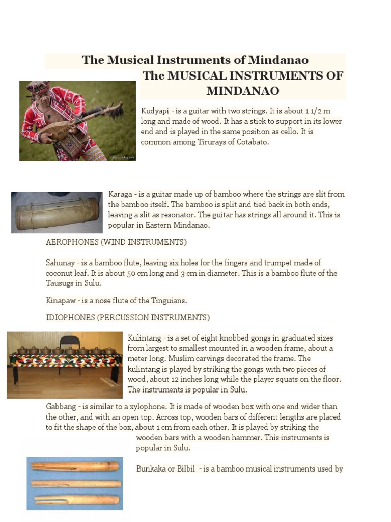 Instrument PDF Musical Instruments Hornbostel Sachs