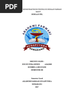 Sediaan Pil Sediaan Pil