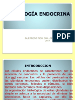 histollogia endocrina