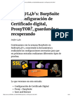 2015 06 Burpsuite IV Configuracion de