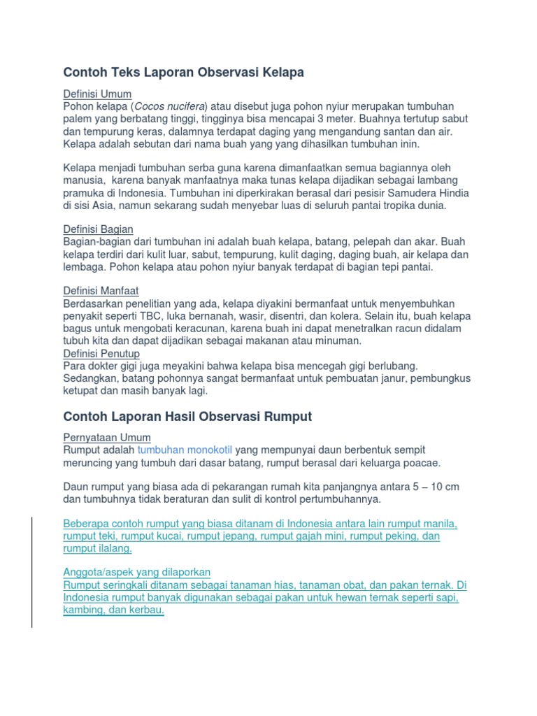 Contoh Teks Laporan Hasil Observasi Pohon Kelapa Dan
