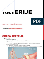 Arterije 140116155824 Phpapp02