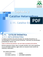  Catalise Enzimatica