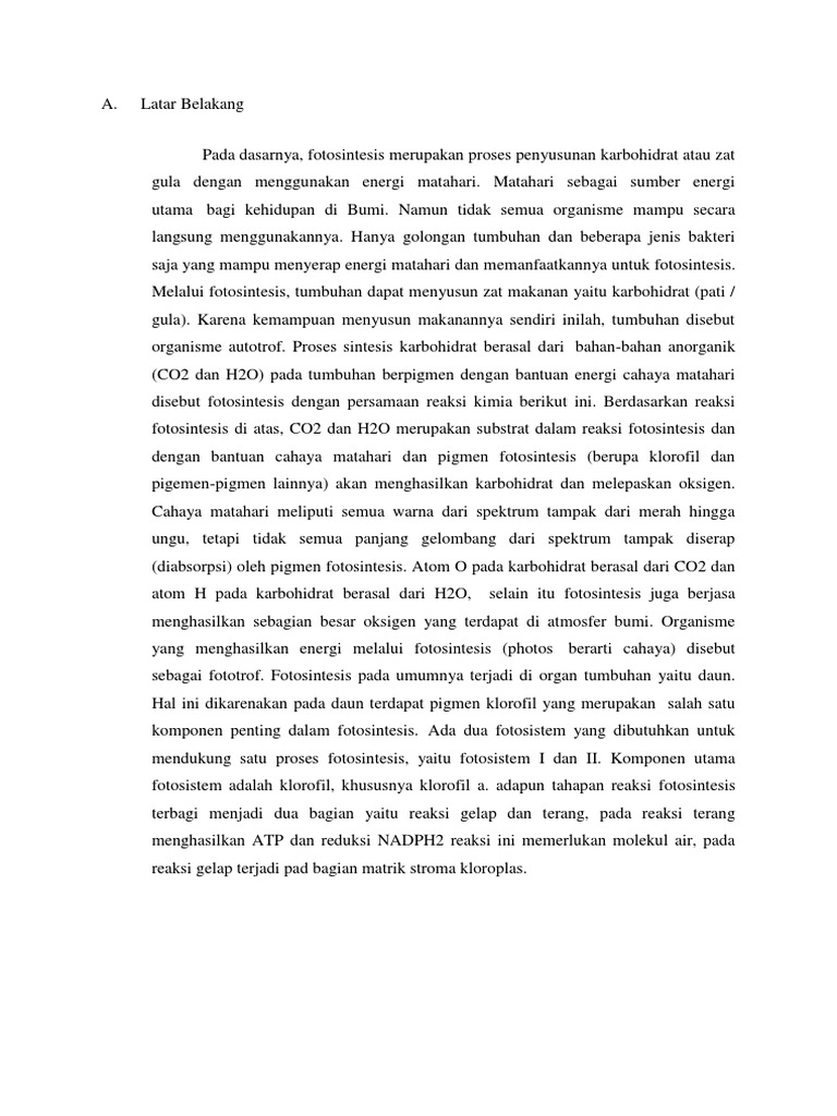 Latar Belakang Fotosintesis