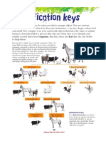 8.classification Keys