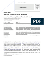 How Time Modulates Spatial Responses