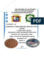 Segunda Practica de Tuberosas