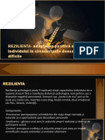 REZILIENTA.prejmer