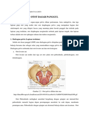 gimnastica dupa operaia de pe picior varicoza)